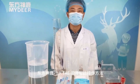 東方神鹿-1×TAE溶液配比操作方法