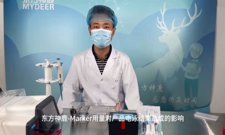 東方神鹿-marker用量對產(chǎn)品電泳結(jié)果造成的影響