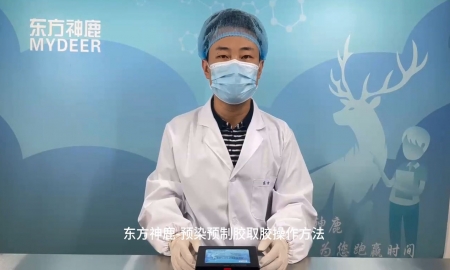 東方神鹿-預(yù)染預(yù)制膠取膠操作方法